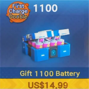 Batterie 1100