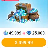 49999 Froststerne