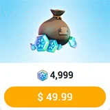 4999 Froststerne